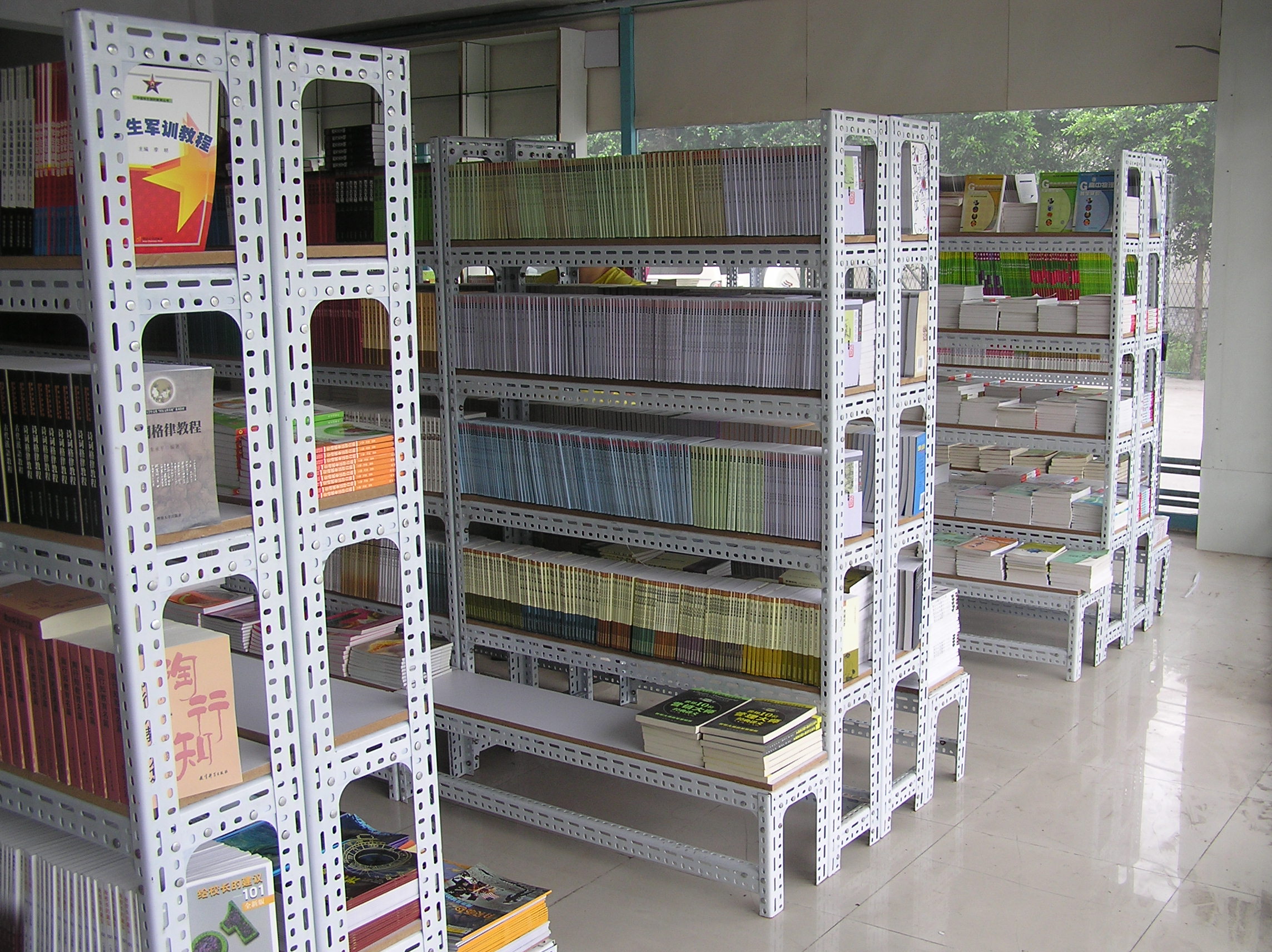 Dongguan changping library shelves
